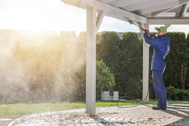 Best Restaurant Pressure Washing  in La Homa, TX