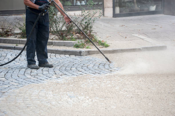 Best Driveway Pressure Washing  in La Homa, TX