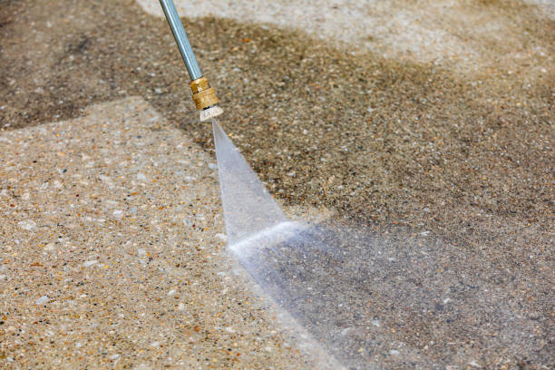 Best Pool Deck Cleaning  in La Homa, TX