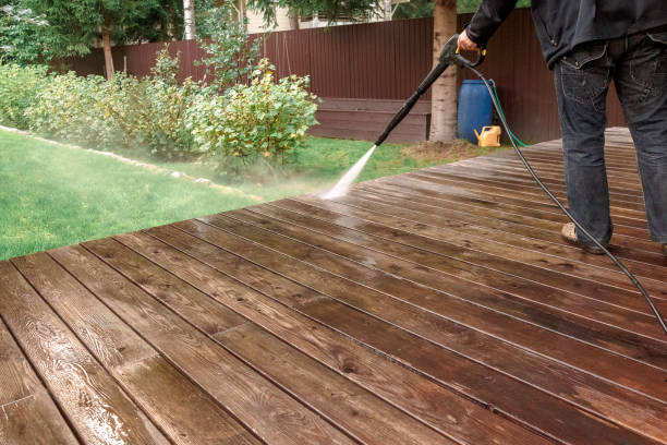 Best Gutter Cleaning  in La Homa, TX