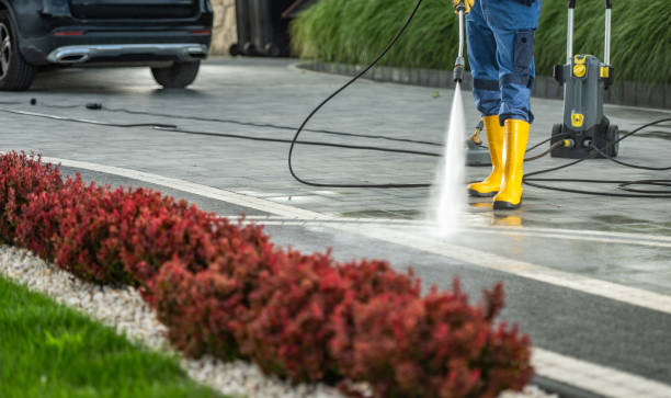 Best House Exterior Washing  in La Homa, TX