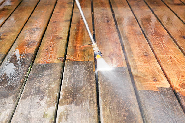Best Fence Cleaning  in La Homa, TX