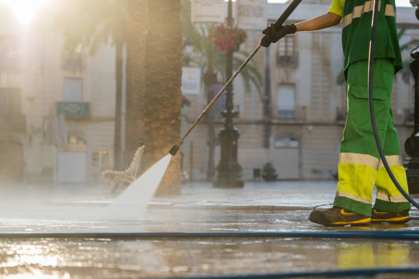 Best Roof Washing  in La Homa, TX